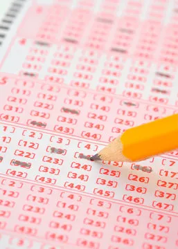 程序媛“笑翠鸟”